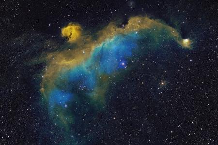 Seagull Nebula