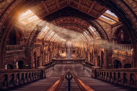 Natural History Museum - London