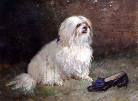 A Maltese Terrier à Heywood Hardy