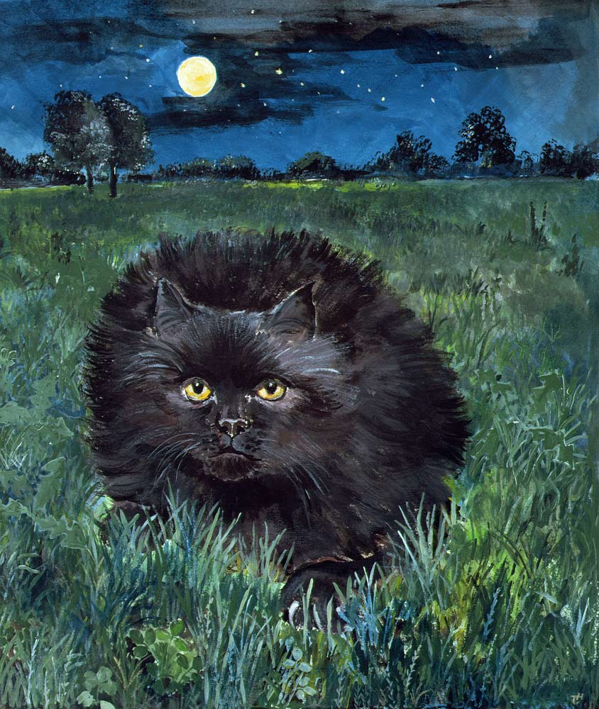 The Cat and the Moon (acrylic on paper)  à Hilary  Jones