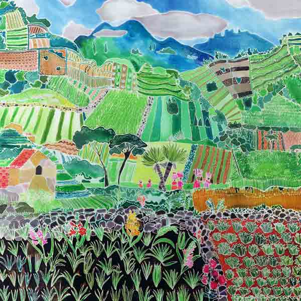 Cabbages and Lilies, Solola Region, Guatemala, 1993 (coloured inks on silk)  à Hilary  Simon