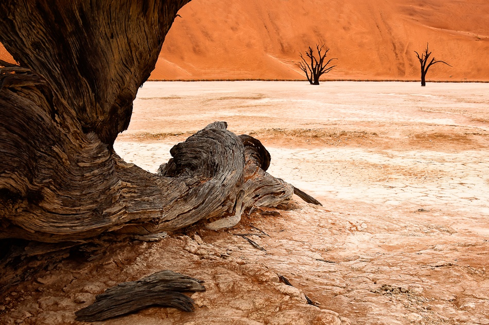 Deadvlei from a different point of view à Hilde Ghesquiere