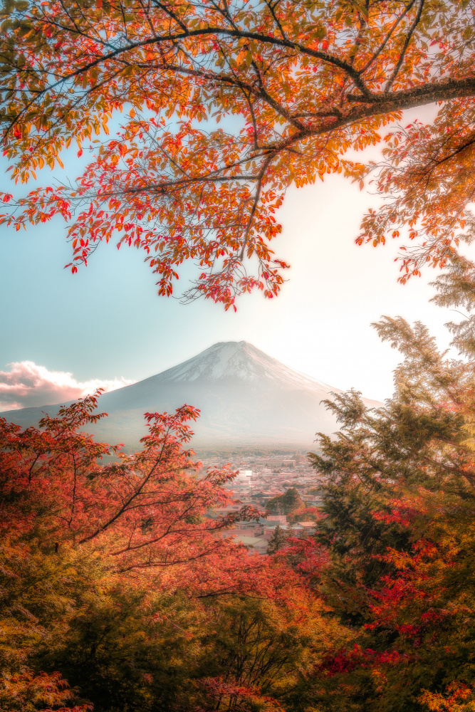 Beautiful Autumn in Japan à まちゅばら/Hiroki Matsubara