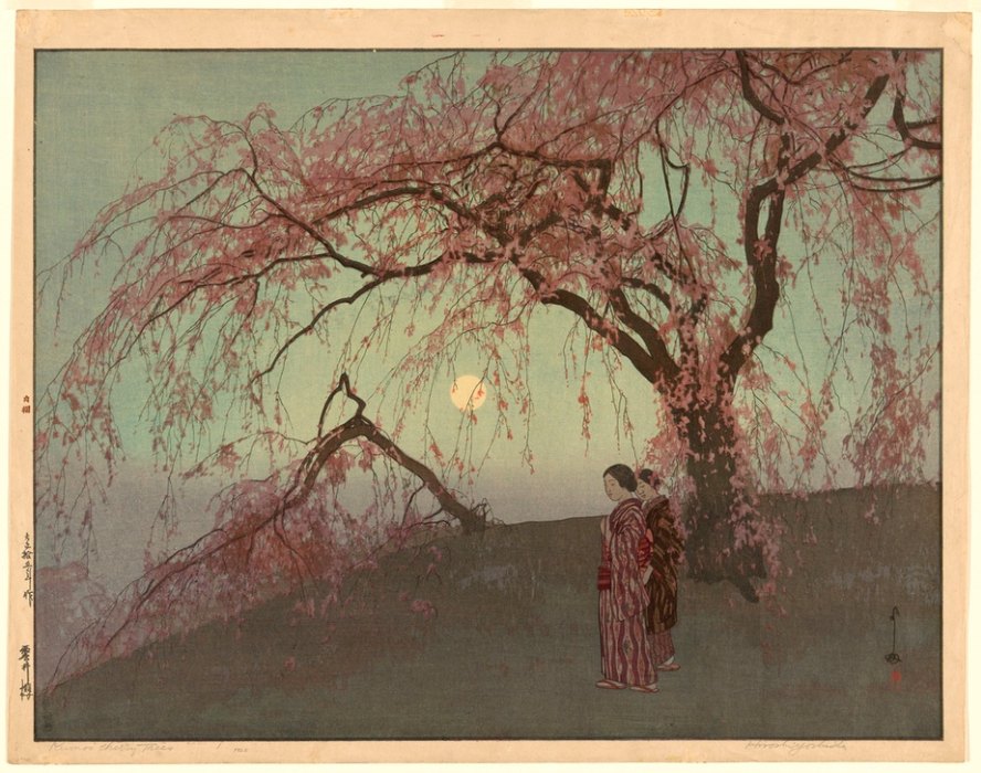 Kumoi Cherry Trees (Kumoi sakura) à Yoshida Hiroshi