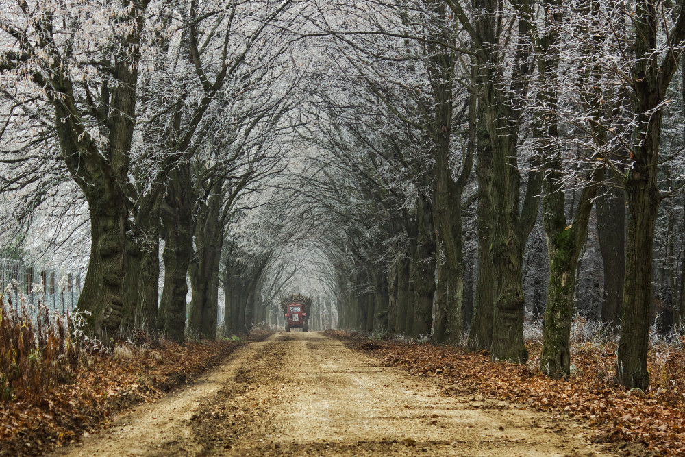 Transport à Hober Szabolcs