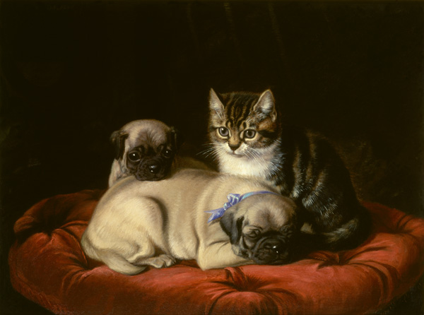 Zwei Möpse und ein Kätzchen à Horatio Henry Couldery