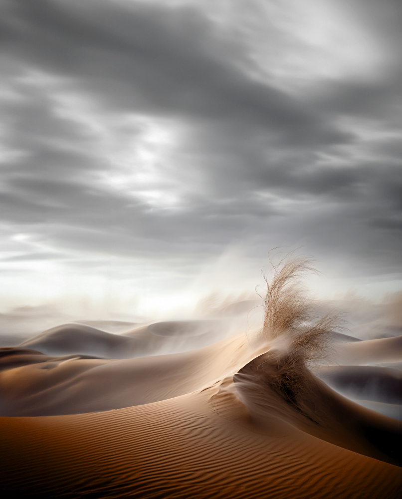 Desert Waves à Hosam.Karara