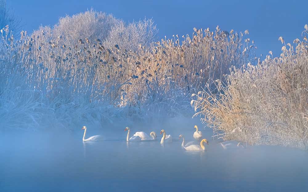 Blue Swan Lake à Hua Zhu