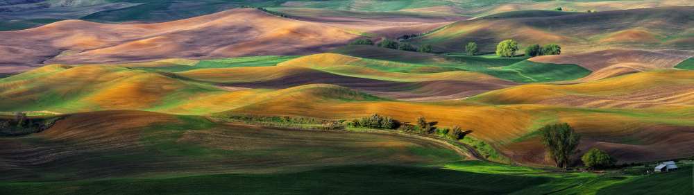 The Palouse à Hua Zhu