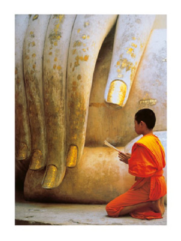 The Hand of Buddha à Hugh Sitton