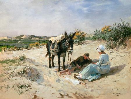 Dans les dunes