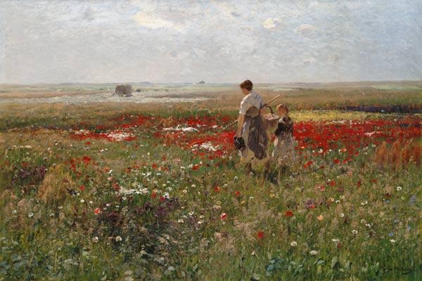 Dans le pré de fleurs