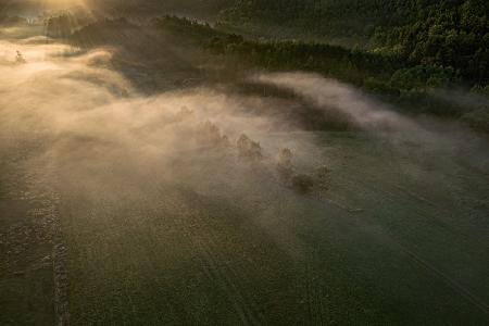 misty morning