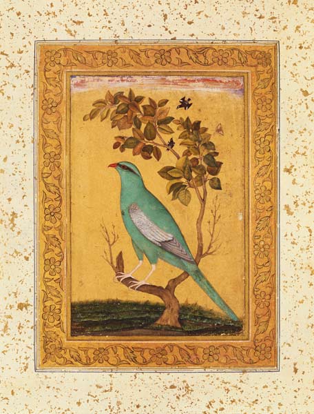 Green Bird, Mughal à École indienne
