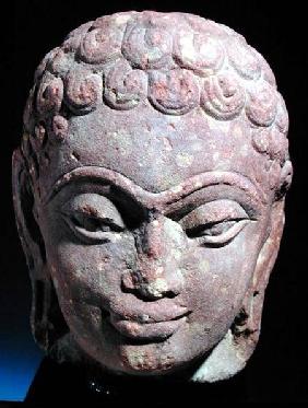 Head of a Jain Tirthankara, Mathura Region, Kushan period