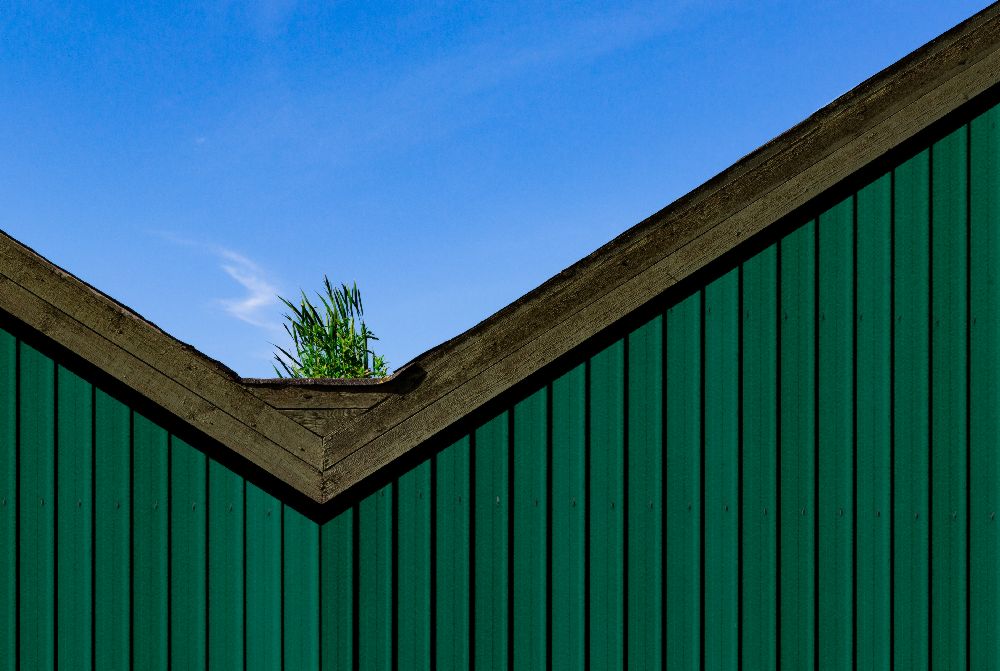 A roof garden à Inge Schuster