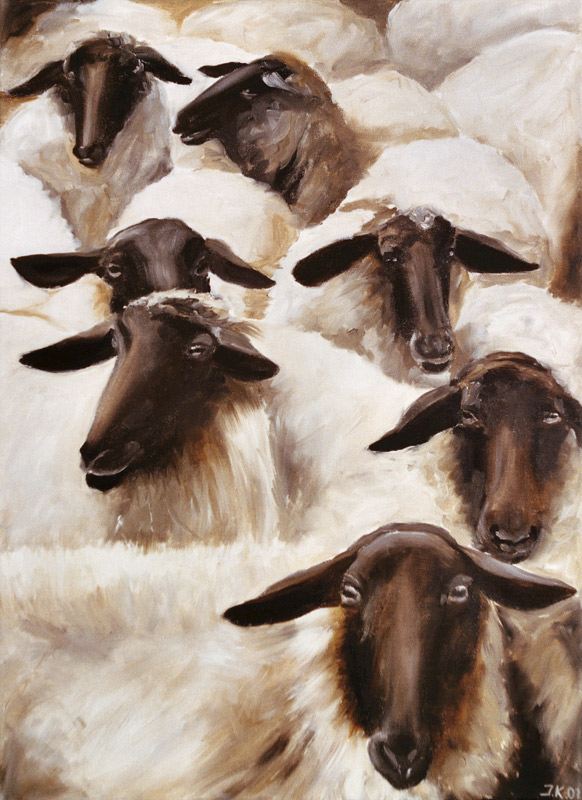 moutons à Ingeborg Kuhn