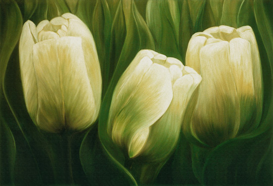 tulipes à Ingeborg Kuhn