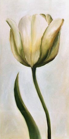 tulipe blanche 1 à Ingeborg Kuhn