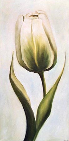 tulipe blanche 2 à Ingeborg Kuhn