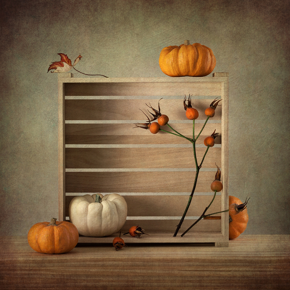 Autumn Box à Inna Karpova