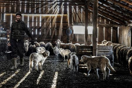 Rays of light in the stable