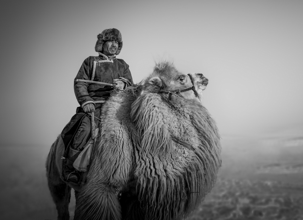 Farmer and His Camel à Irene Wu