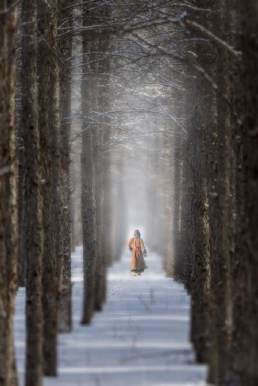 A Walk In The Forest