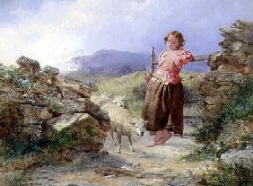 The Little Shepherdess