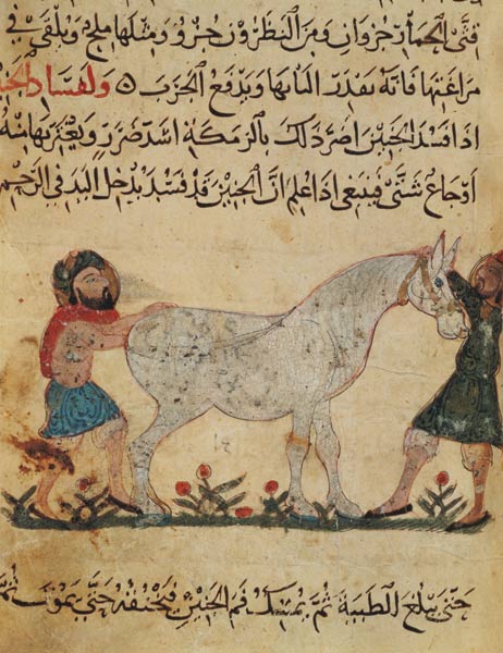 A veterinarian helping a mare to give birth, illustration from the 'Book of Farriery' by Ahmed ibn a à École islamique