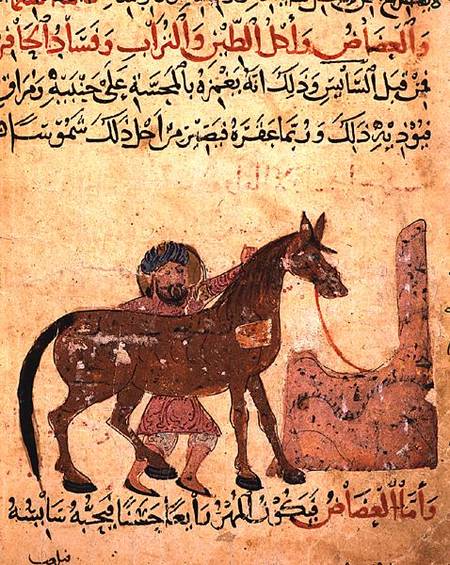 Caring for the horse, illustration from the 'Book of Farriery' by Ahmed ibn al-Husayn ibn al-Ahnaf à École islamique