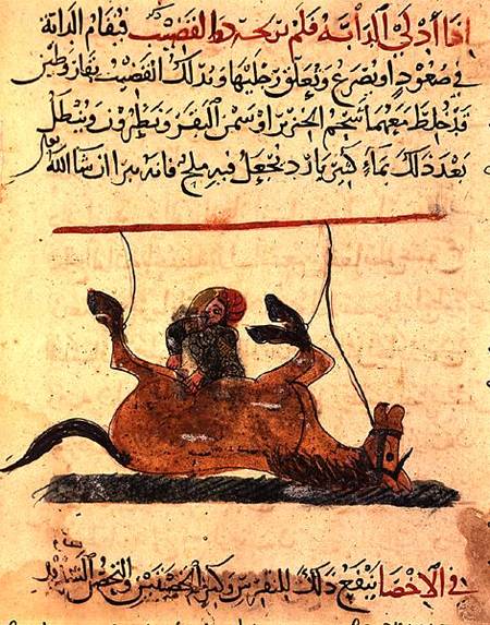 Operation on a horse, illustration from the 'Book of Farriery' by Ahmed ibn al-Husayn ibn al-Ahnaf à École islamique