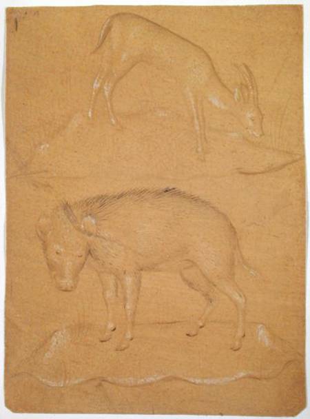 Study of a goat and a boar à École picturale italienne