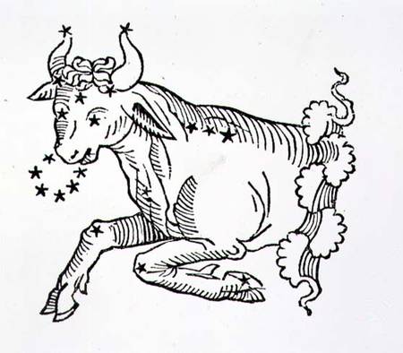 Taurus (the Bull) an illustration from the 'Poeticon Astronomicon' by C.J. Hyginus, Venice à École picturale italienne