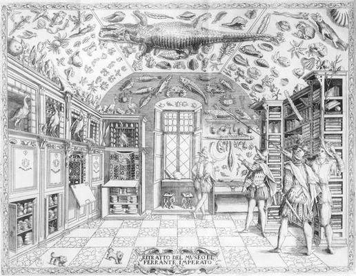 The Natural History Museum of Emperor Ferdinand III from 'Historia Naturale' by Ferrante Imperato (1 à École italienne (17ème siècle)