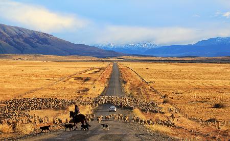 Traffic jam!!