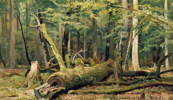 I.I.Zhishkin / Felled Oak / Ptg./ 1892 à Iwan Iwanowitsch Schischkin