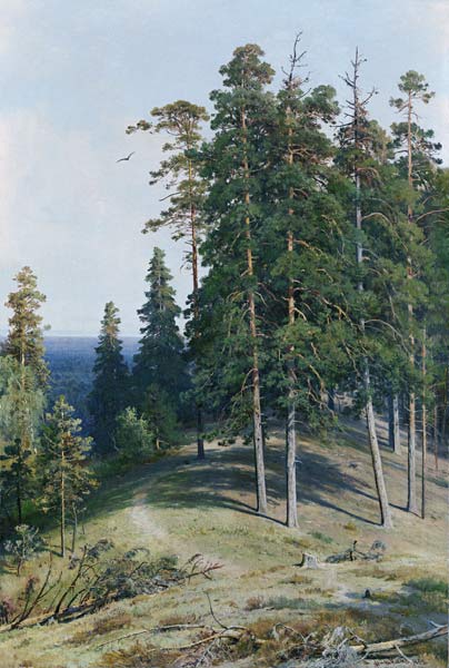 The Pine Forest à Iwan Iwanowitsch Schischkin