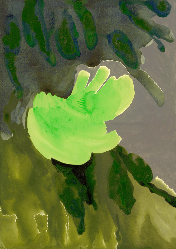 Kensington Gardens Series: Leaf Cascade à Izabella  Godlewska de Aranda