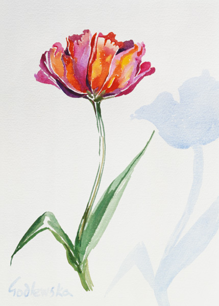 Tulip, 1998 (w/c on paper) (see also 124446 & 124448)  à Izabella  Godlewska de Aranda