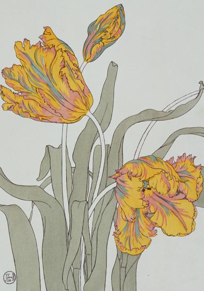Tulip by J. Foord (fl.1890) plate 16 from 'Decorative Flower Studies' pub. 1901 à J. Foord