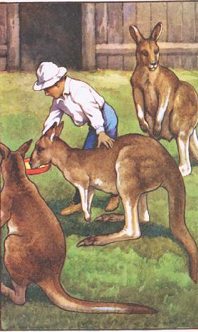 Australian boy, from MacMillan school posters, c.1950-60s