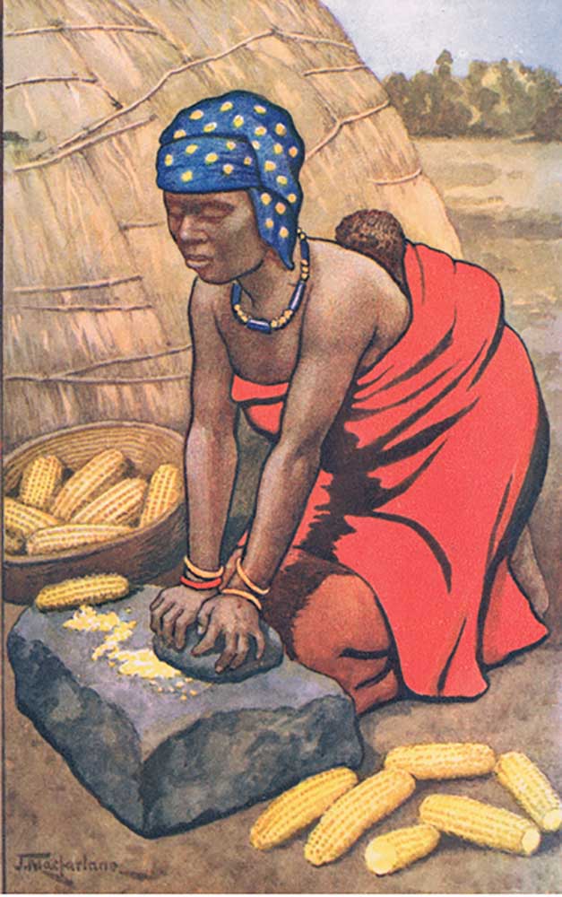 Woman grinding mealies, from MacMillan school posters, c.1950-60s à J. Macfarlane