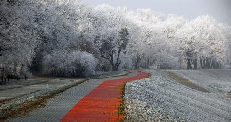 Winter afternoon