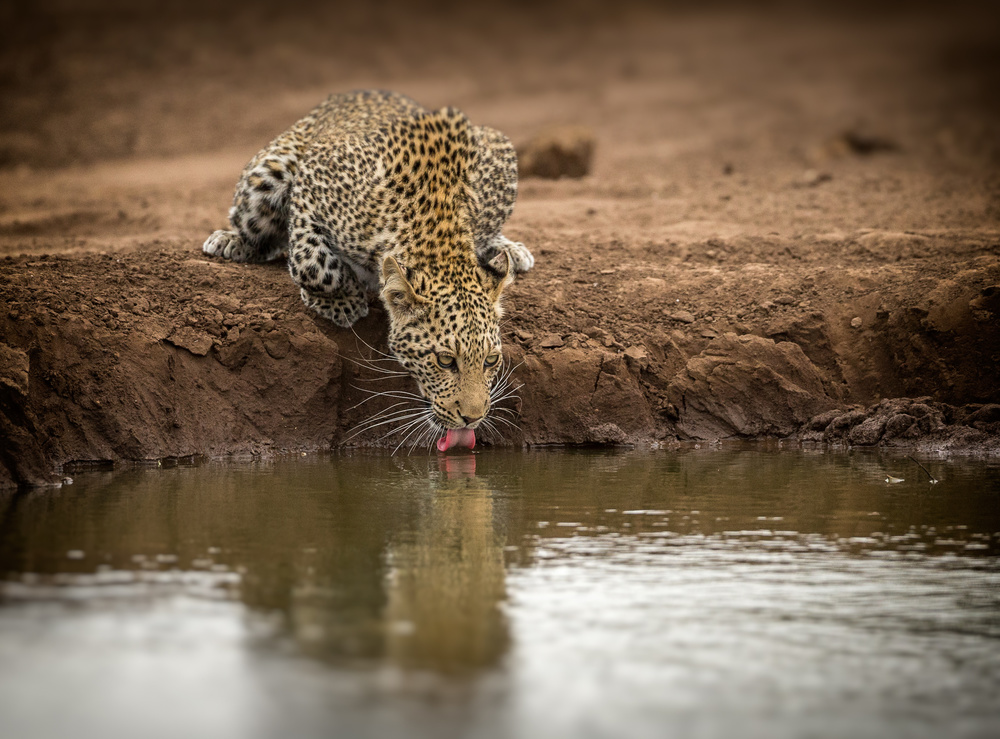 THIRST à Jaco Marx