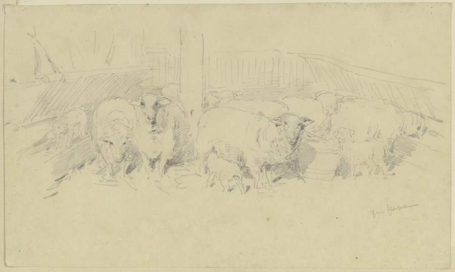 A sheepfold à Jacob Happ