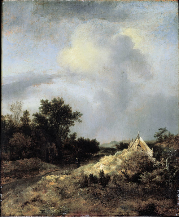 Dune Landscape with Fence à Jacob Isaacksz. van Ruisdael