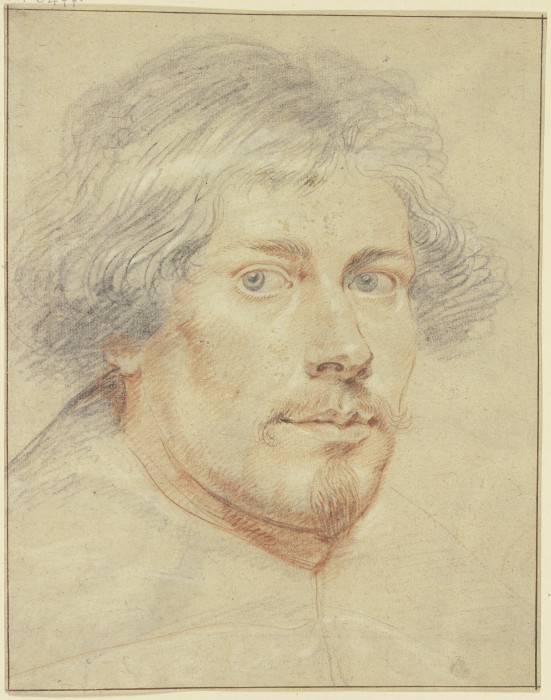 Brustbild eines Mannes mit Schnurr- und Kinnbart à Jacob Jordaens
