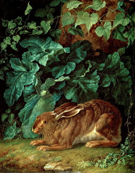 A Hare in Undergrowth à Jacob Philipp Hackert