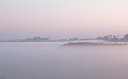 A misty morning